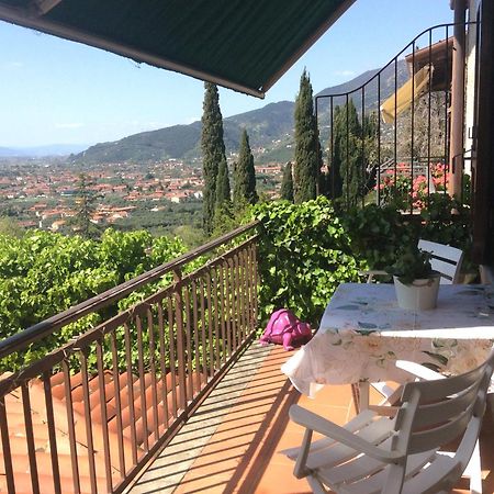 Belvedere 10 Pietrasanta Kültér fotó