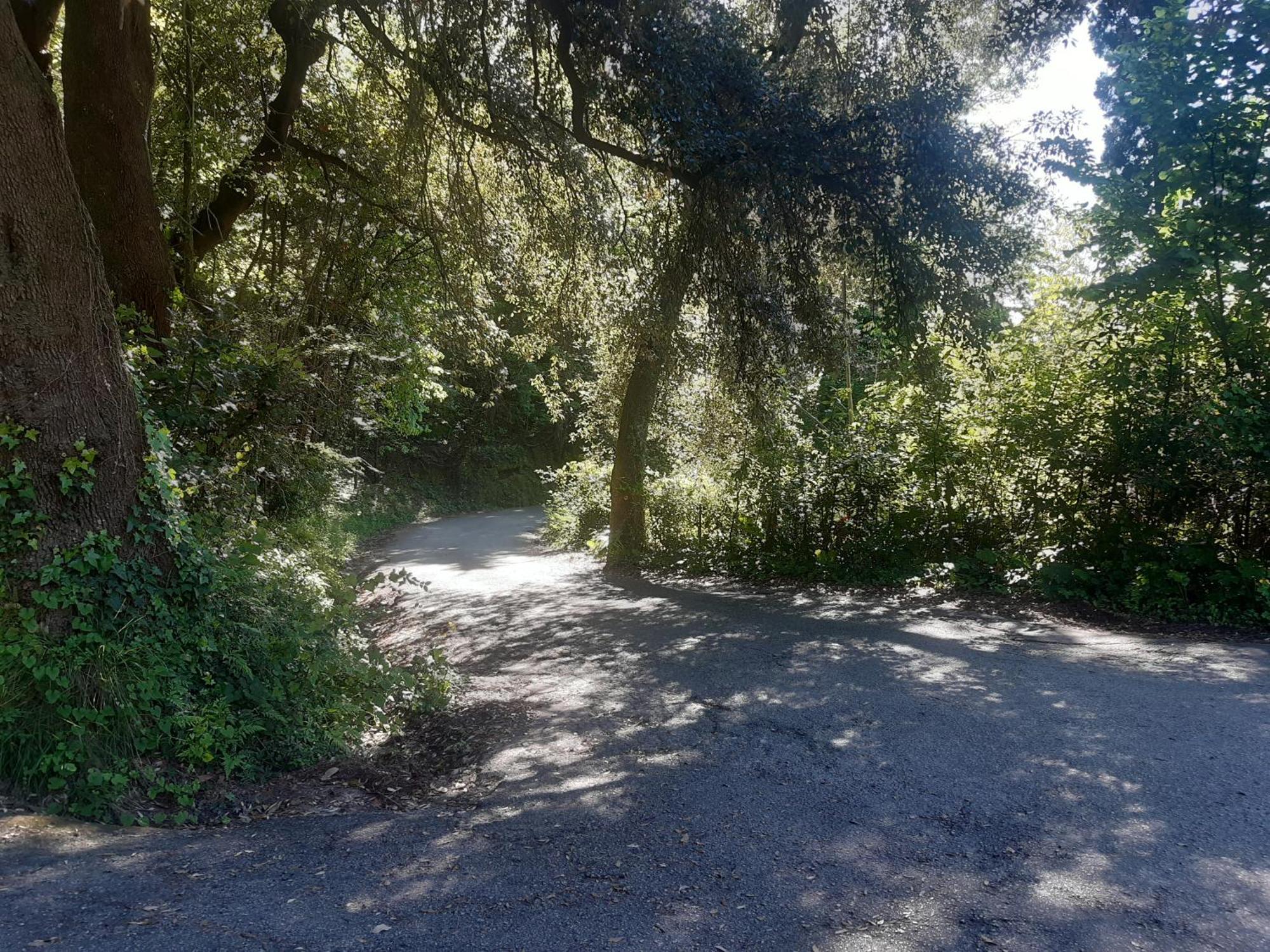 Belvedere 10 Pietrasanta Kültér fotó