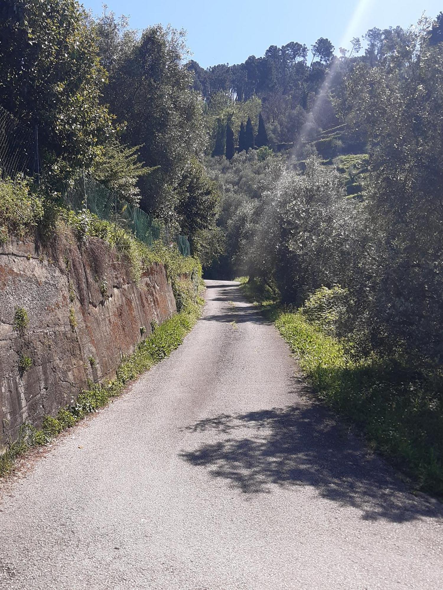 Belvedere 10 Pietrasanta Kültér fotó