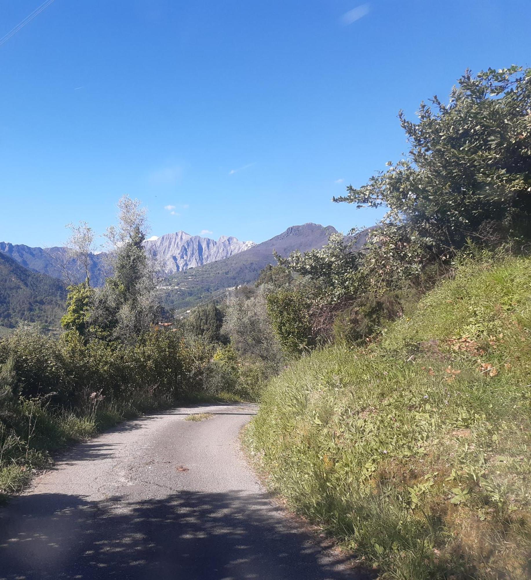 Belvedere 10 Pietrasanta Kültér fotó